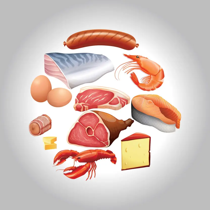 Non Vegetarian Food Vector Design