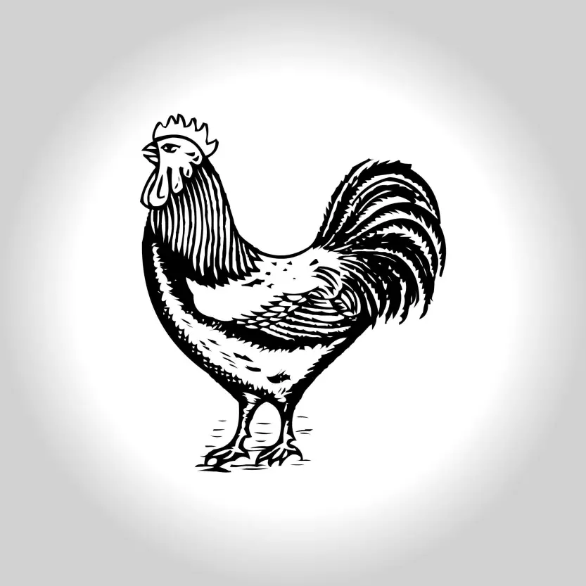 Rooster Symbol - Morog Marka - Election Logo Vector