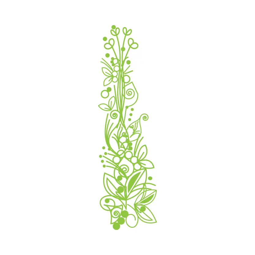 Indian Floral Decorative Element with Paisley Flowers and Leaves Asian Traditional Plant Pattern Alpona Design Vector