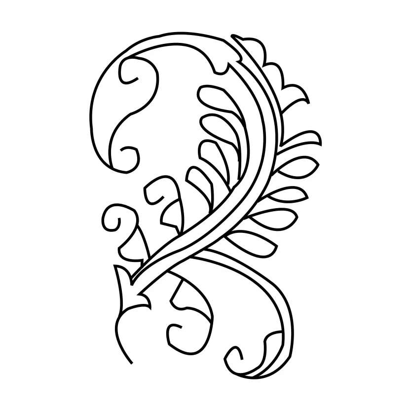 Flower Outline Coloring Page Design Vector Floral Illustration
