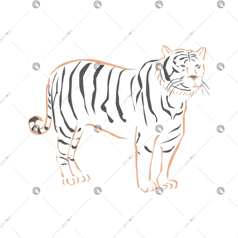 Royal Bengal Tiger Illustration With Hyperdetailed Outlined Art