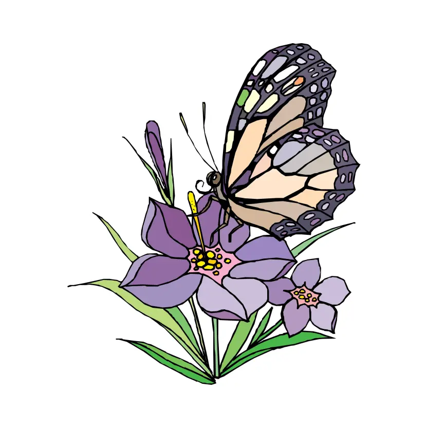 Colorful Monarch Butterfly Icon with White Background Graphic