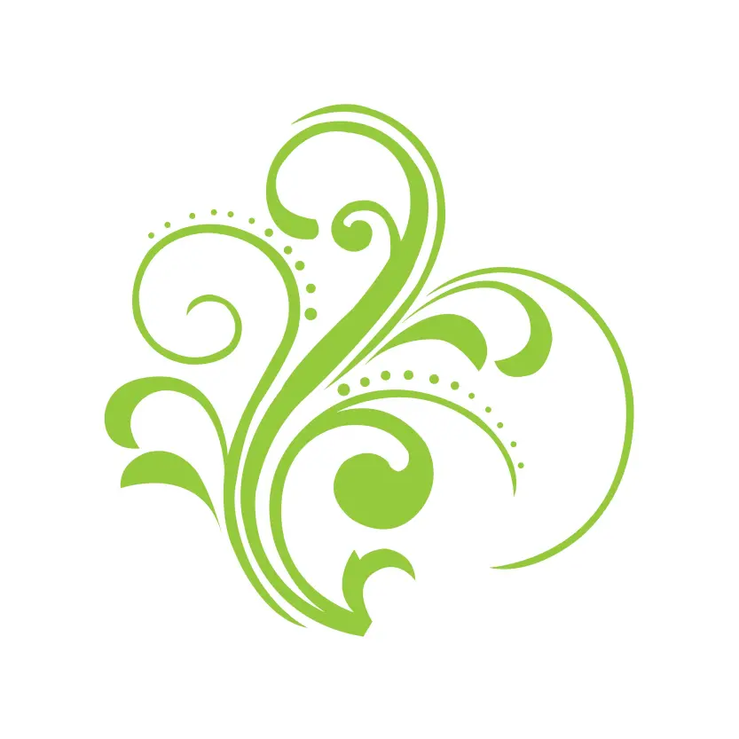 Floral Swirl Design Flourish Elements