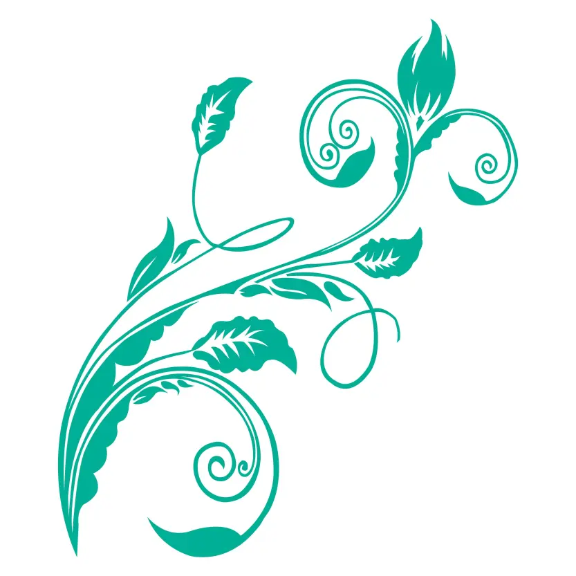 Ornament Floral Vine Vector and Illustration