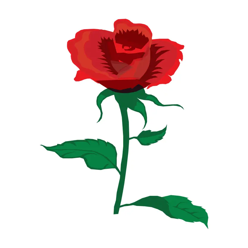 Vector Rose with Green Leaves Flat Illustration