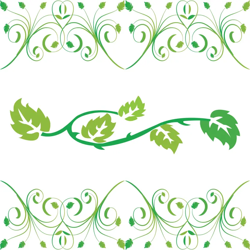 Ornamental Frame with Green Leaves Illustration Graphic