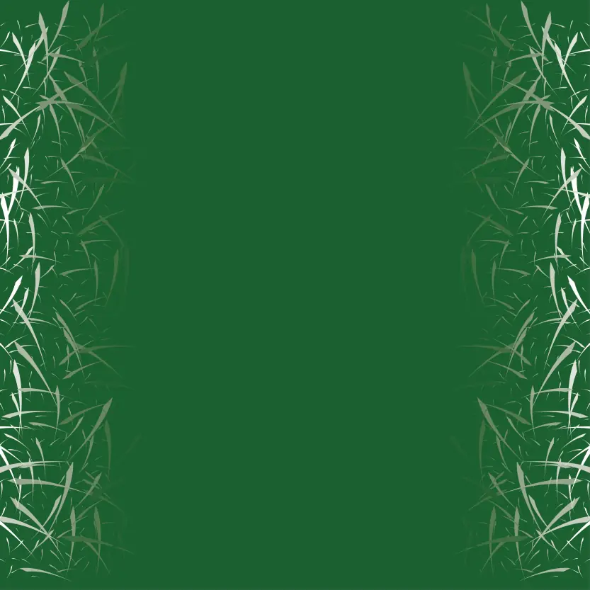 Grass Background Vector Illustration