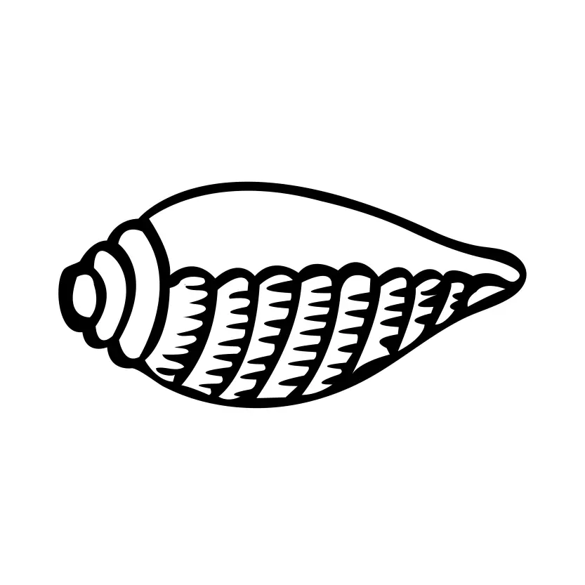 Sea Shell Illustration Symbol Vector Clipart