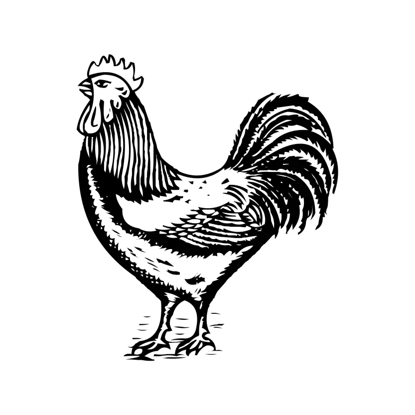 Rooster ro Morog Marka for Election Symbol Vector Clipart Morog Logo