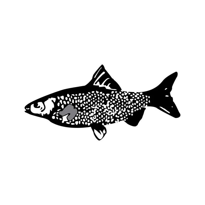 Fish Marka Election for Politics Symbol Vector Clipart