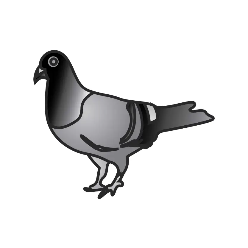 Pigeon Marka or Kabutar Marka for Election Symbol Vector Clipart Isolated Vector
