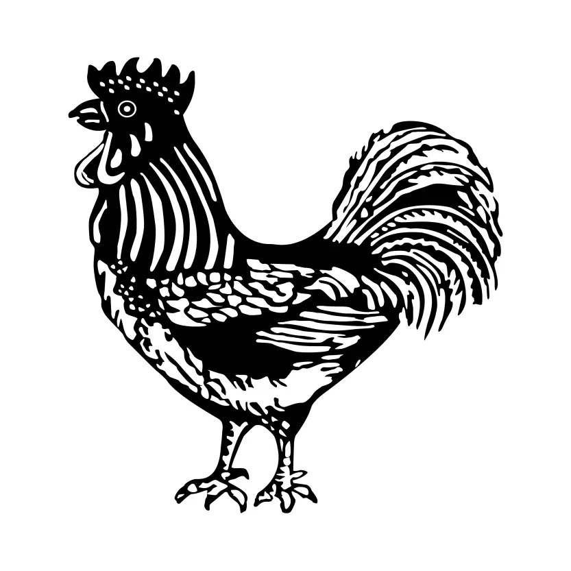 Rooster - Morog Marka for Election Symbol Vector Clipart