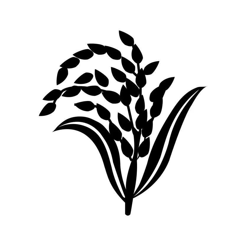 Grain of Rice -  Dhaner Shish Marka for Election Symbol Vector Clipart