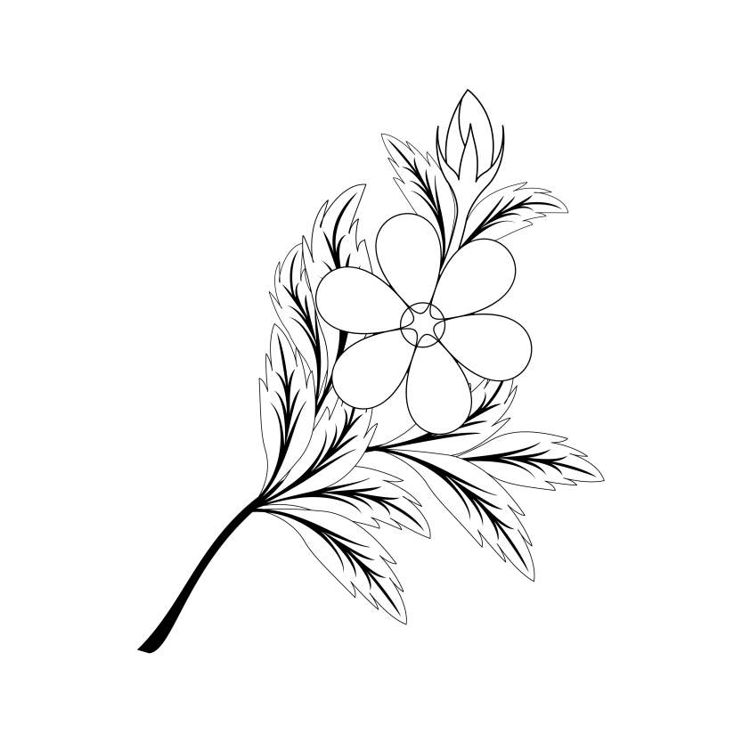 Doodle can be used to decorate flower branches, beautiful and unusual buds, postcards, business cards