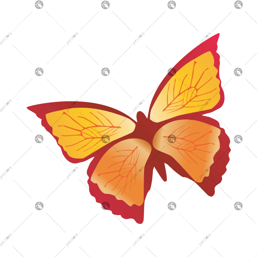 Butterfly Flying Red Vector Illustration and Colorful Butterfly Illustration