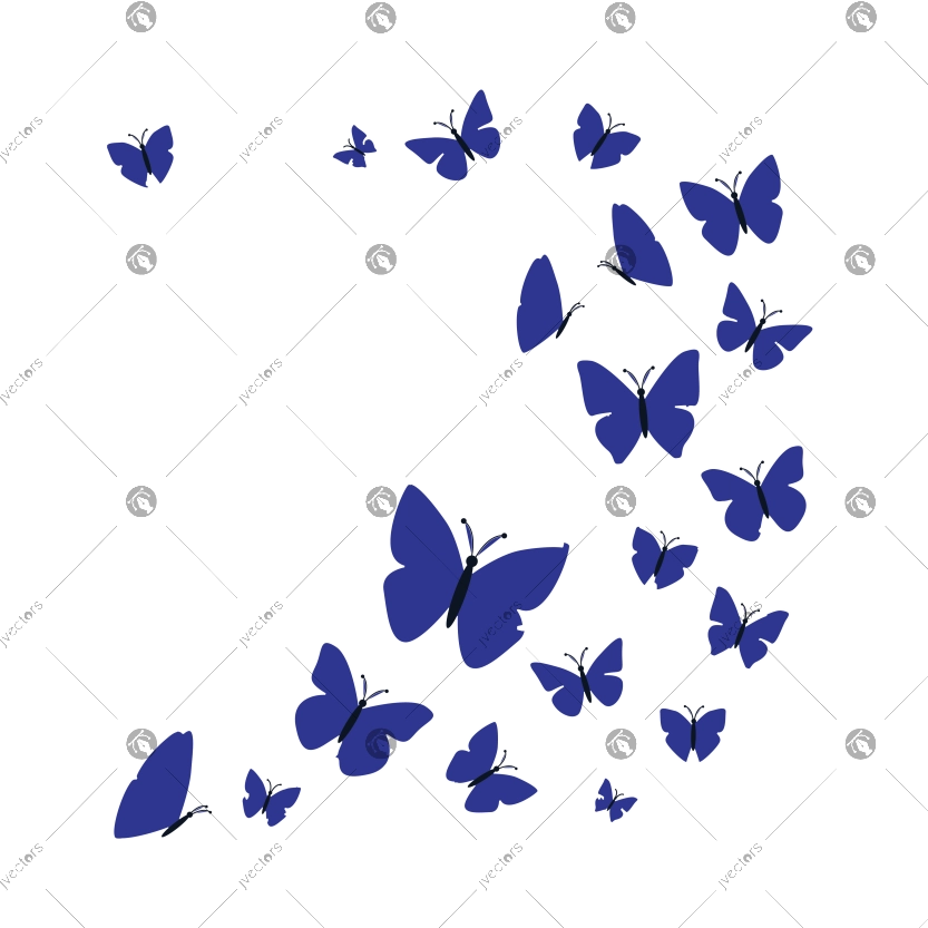 Butterfly Insect Natural Decor Celebration Spring Season Illustration Graphic Element Art Card